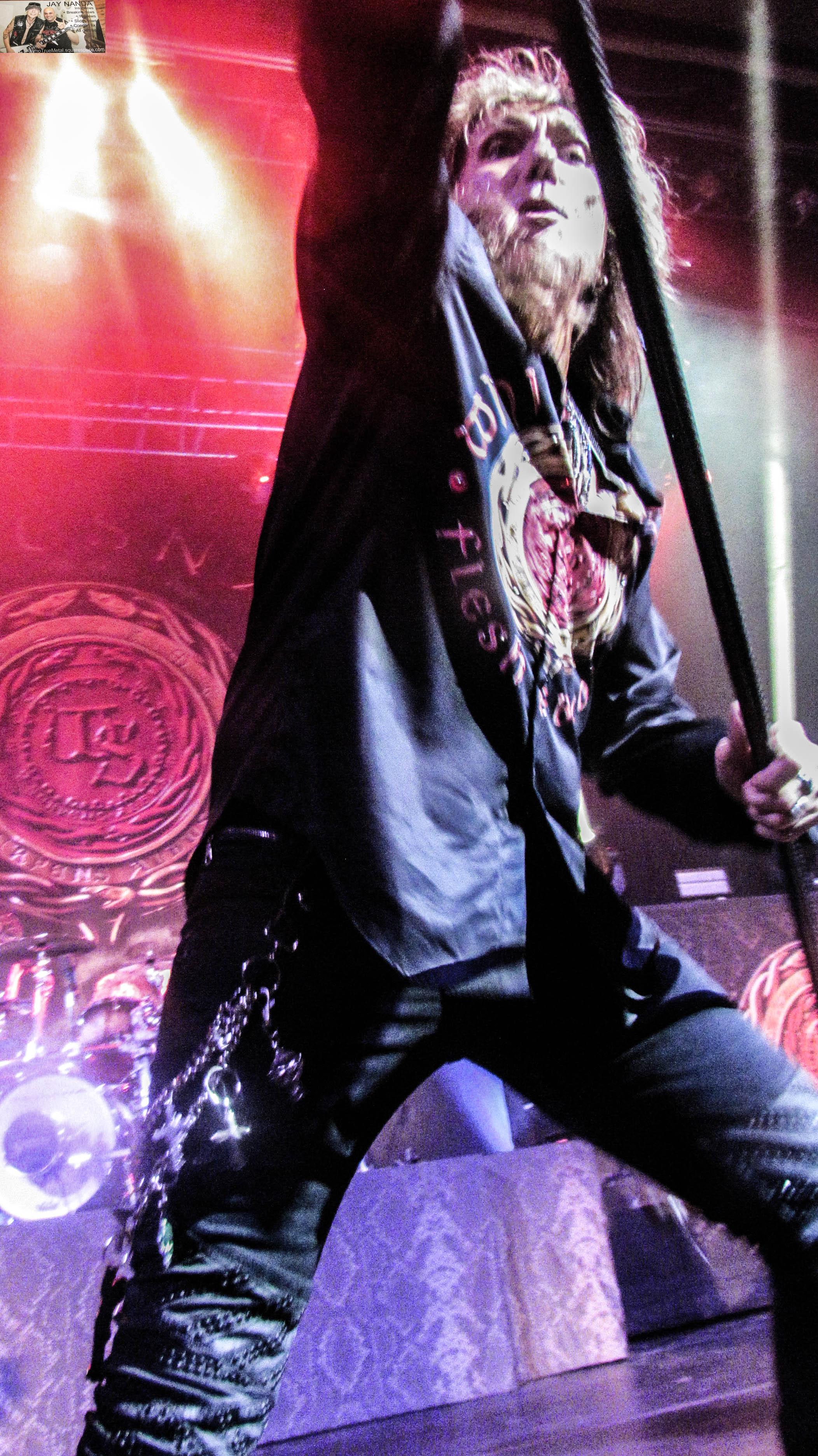 WHITESNAKE