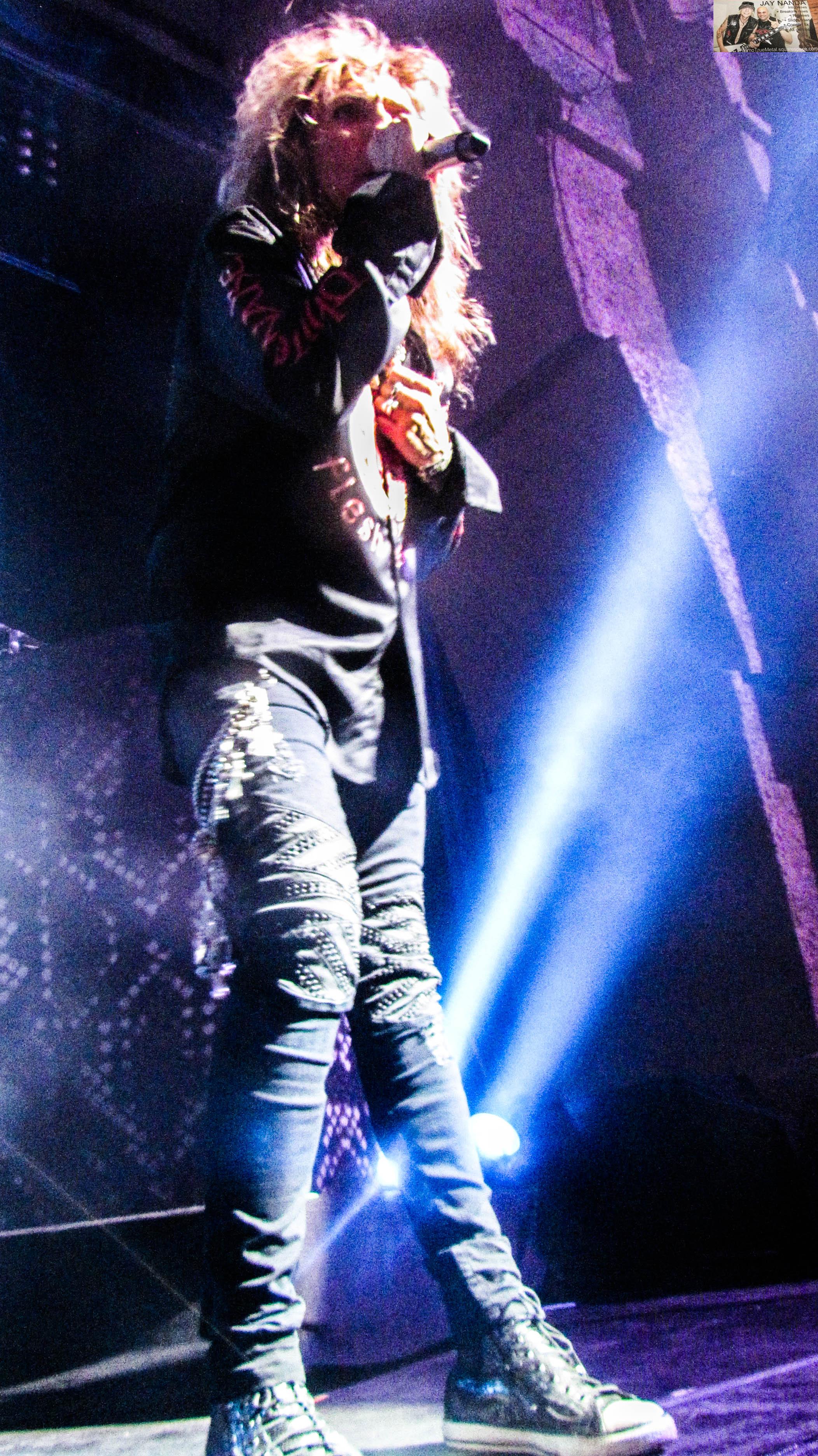 WHITESNAKE