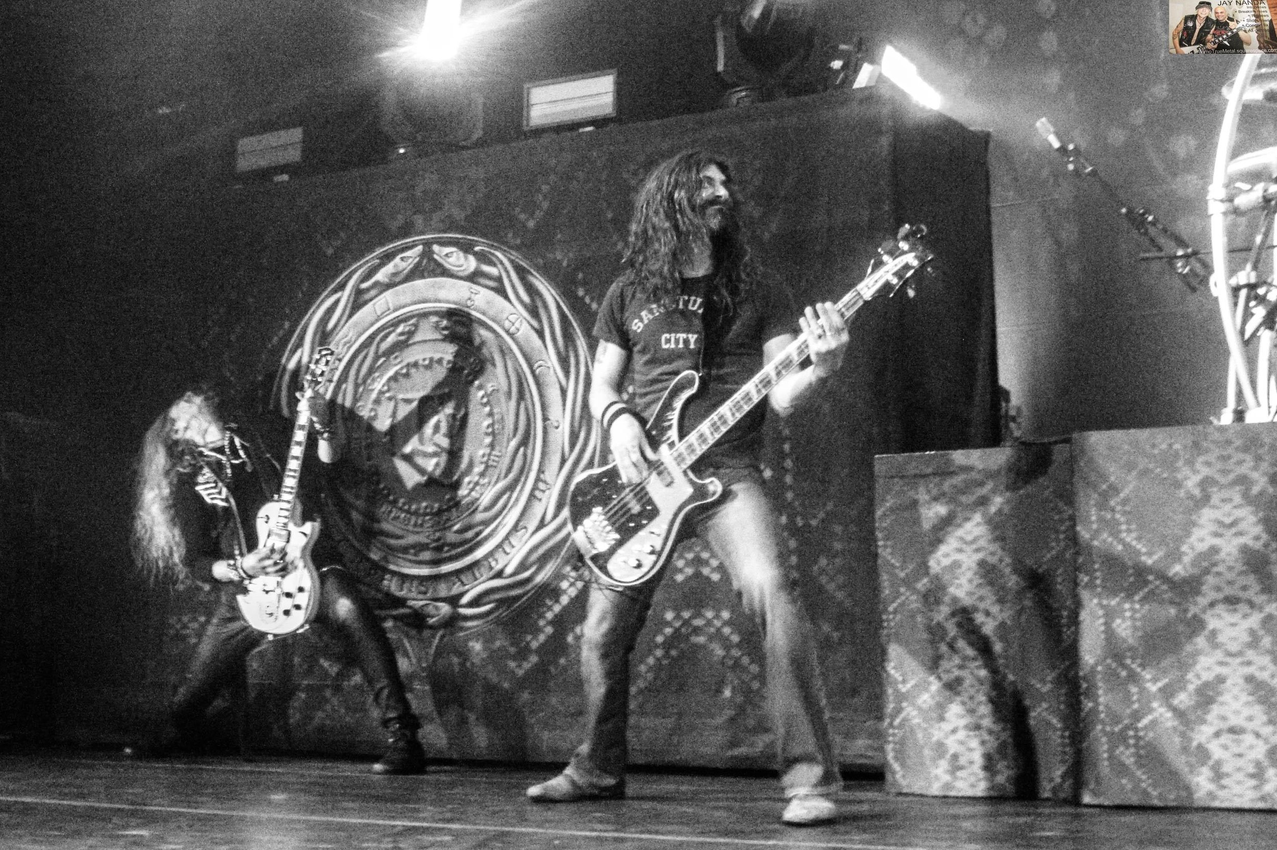 WHITESNAKE 