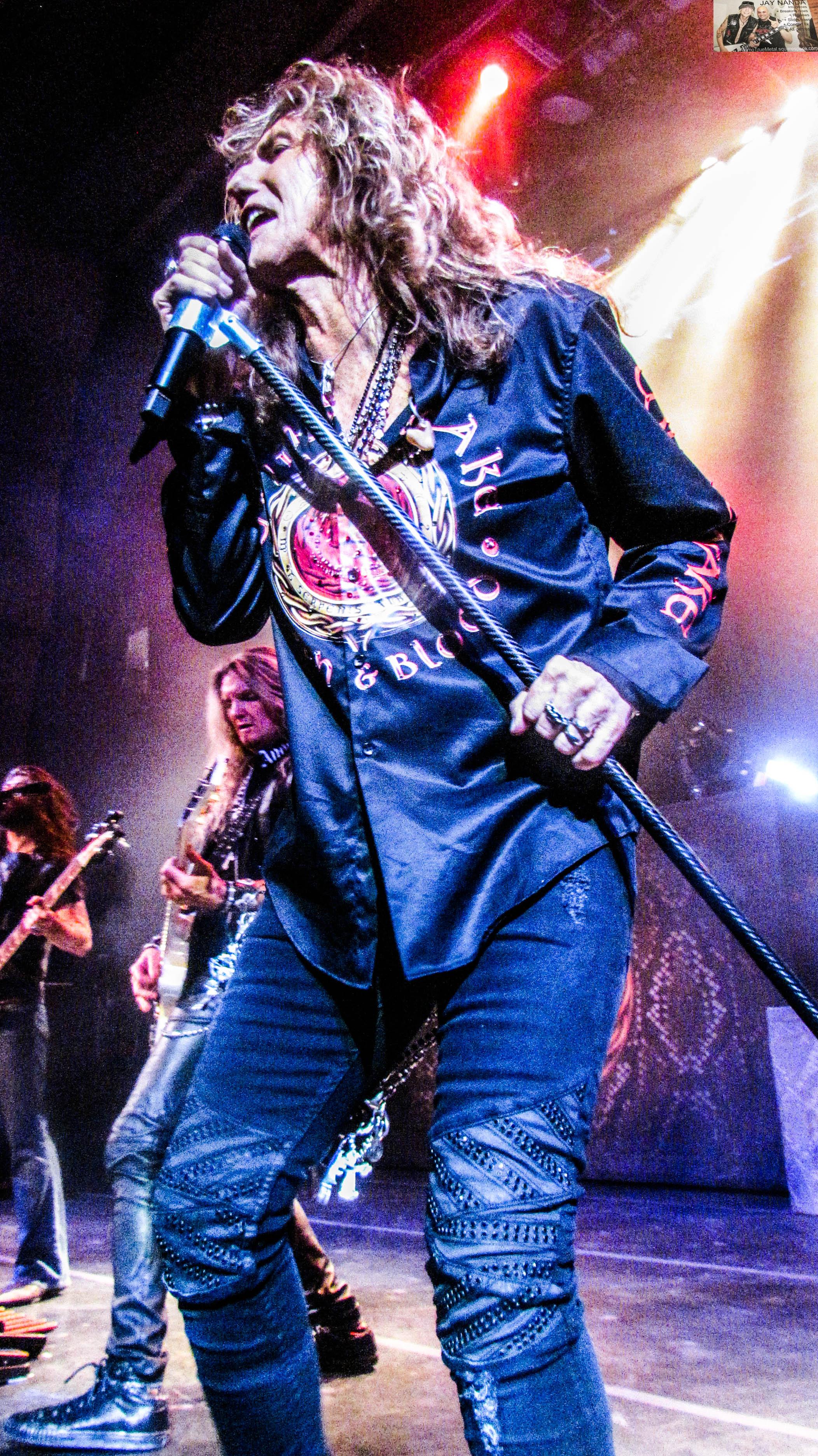 WHITESNAKE