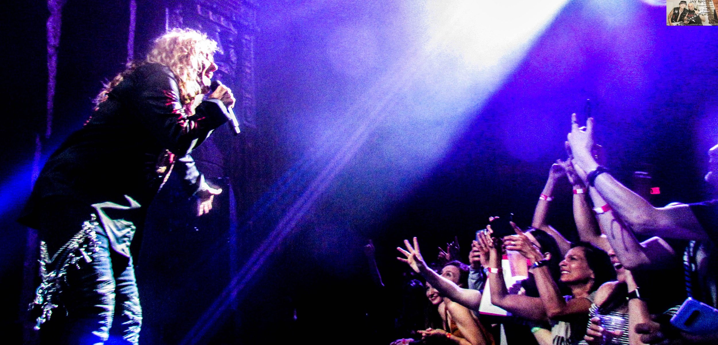 WHITESNAKE