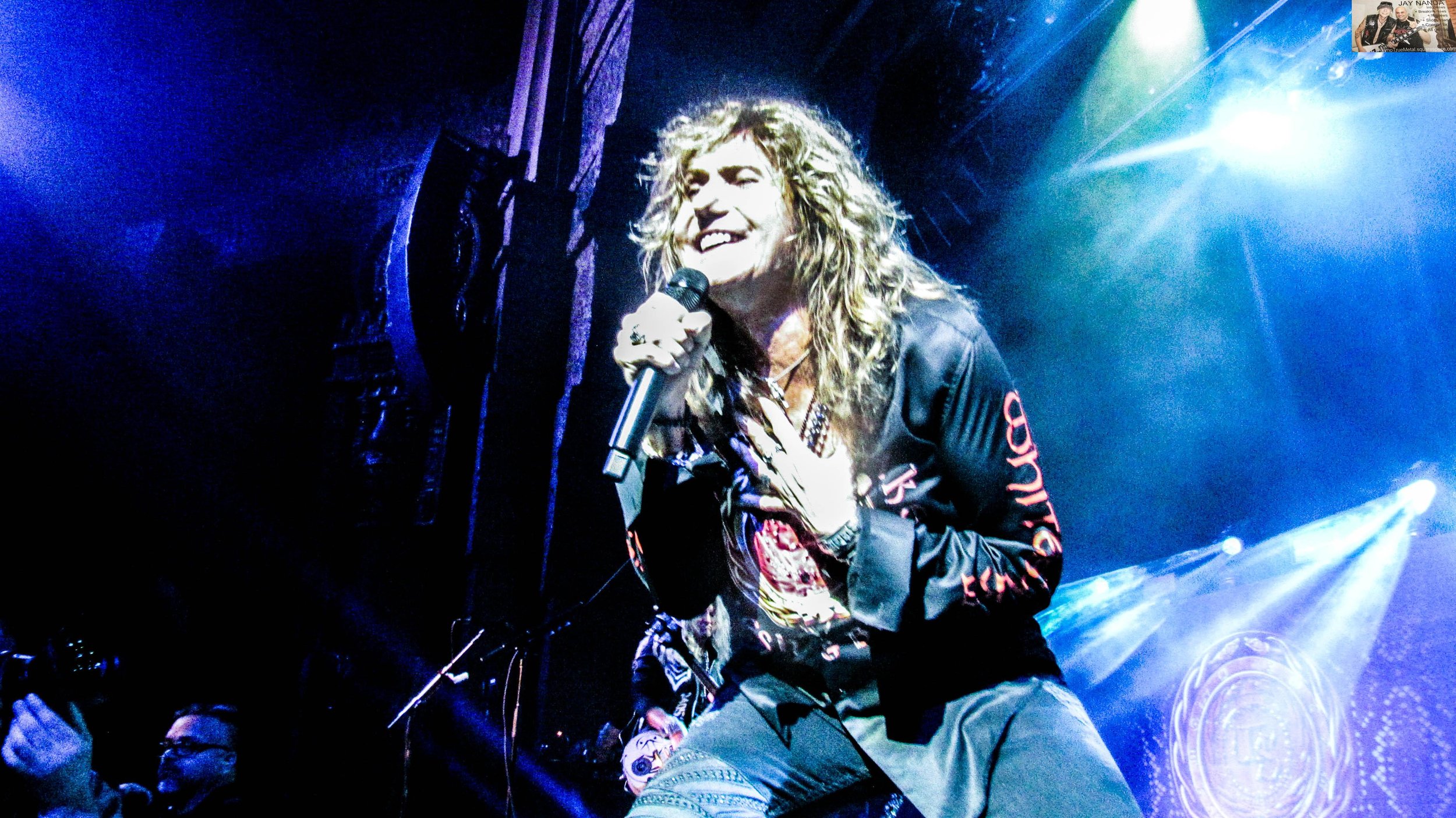 WHITESNAKE 