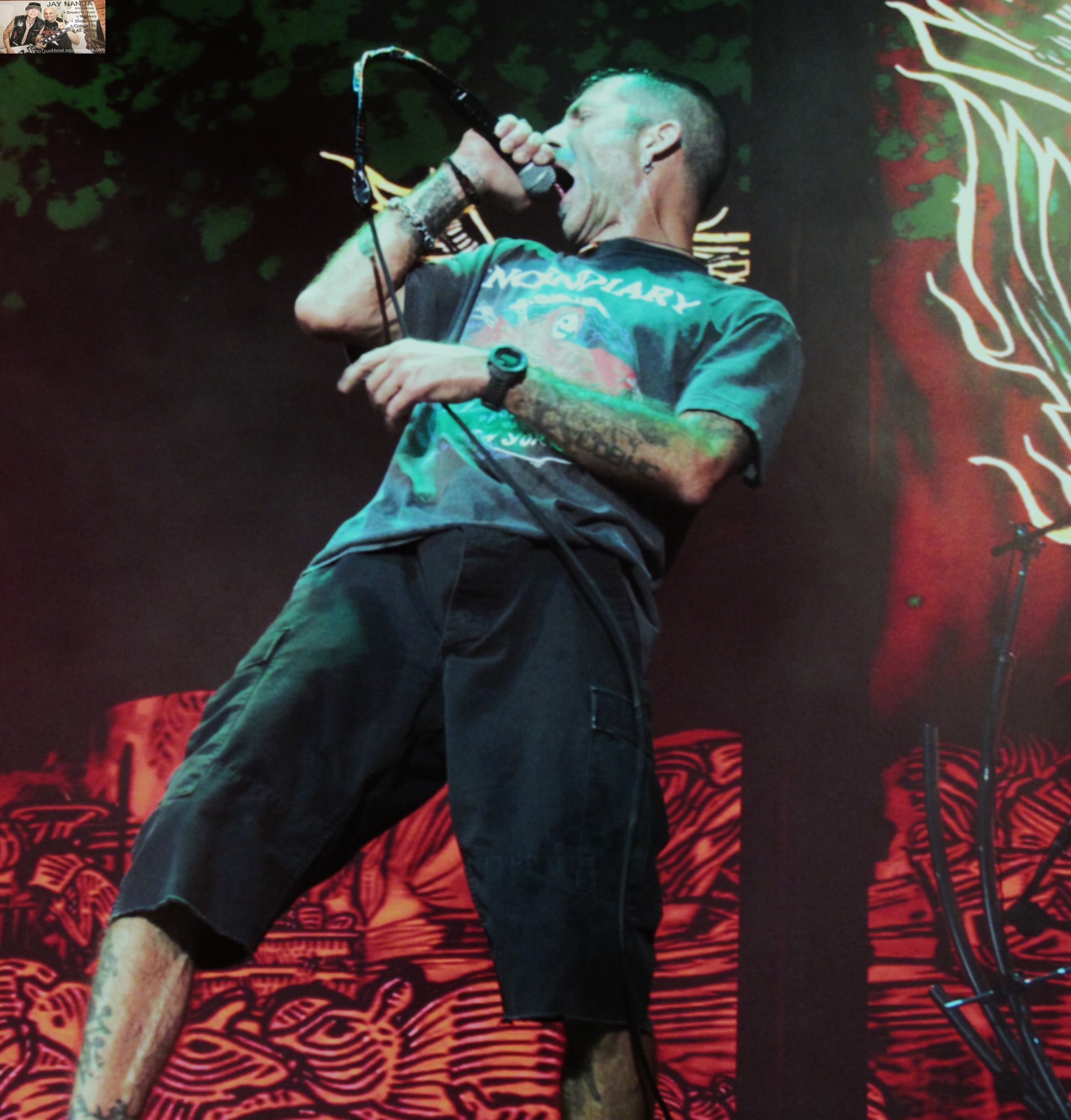 LAMB OF GOD