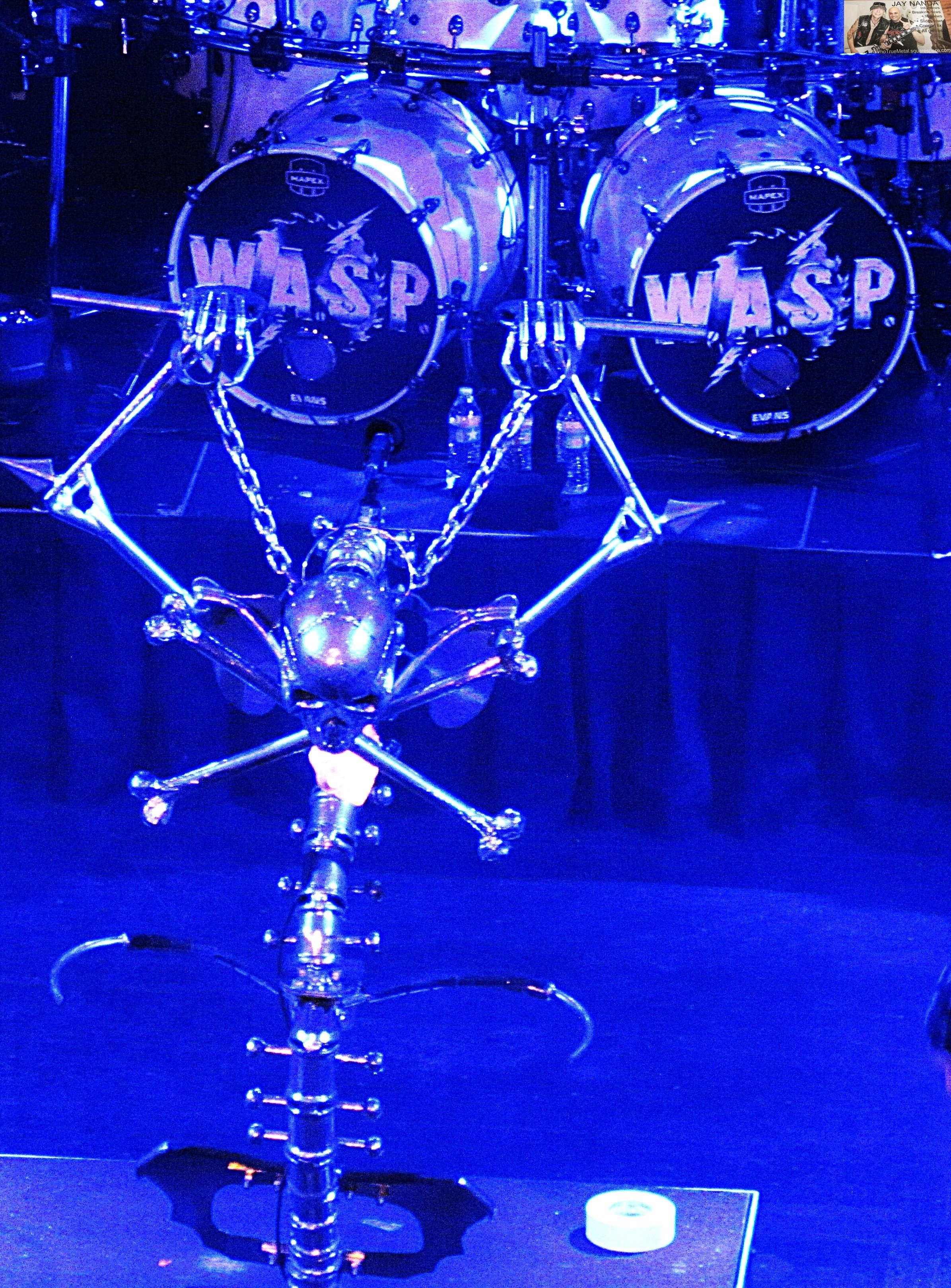 W.A.S.P.