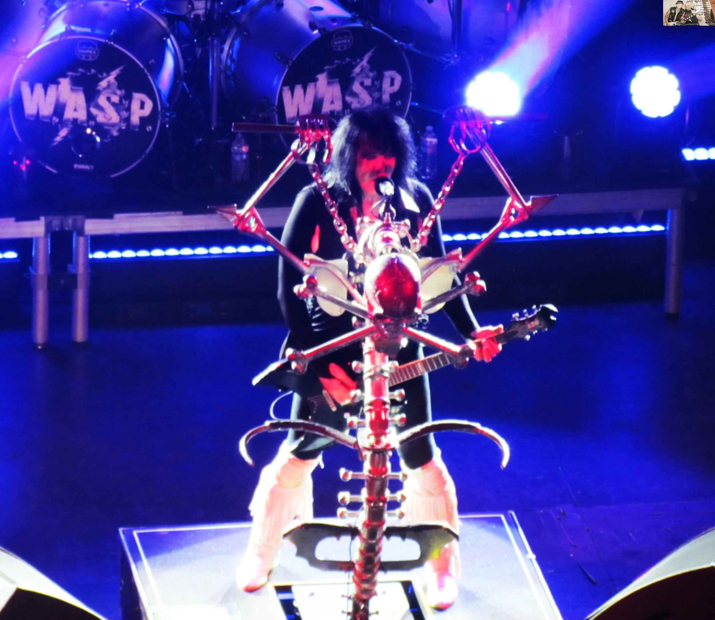 W.A.S.P.
