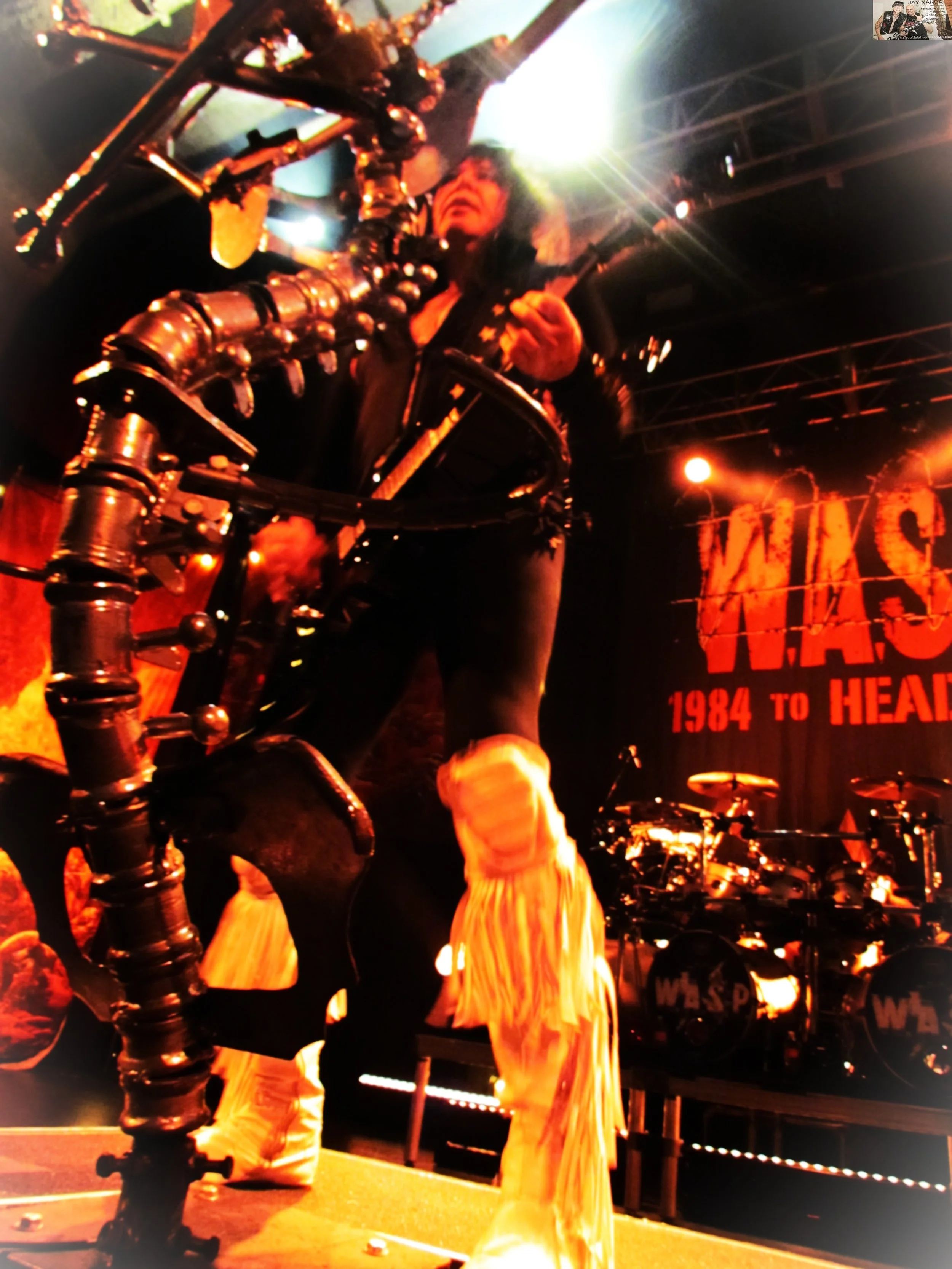 W.A.S.P.