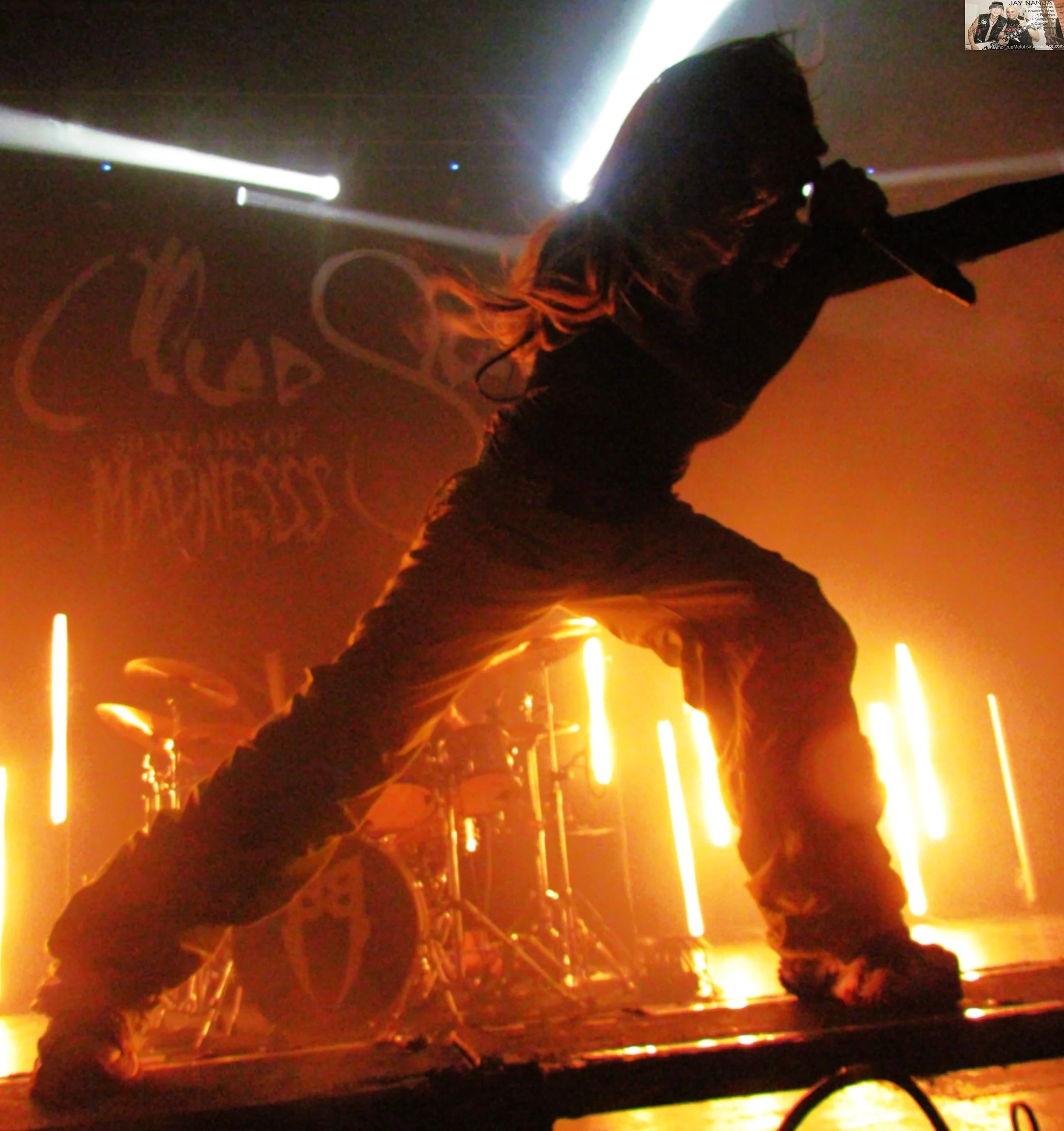 BUTCHER BABIES