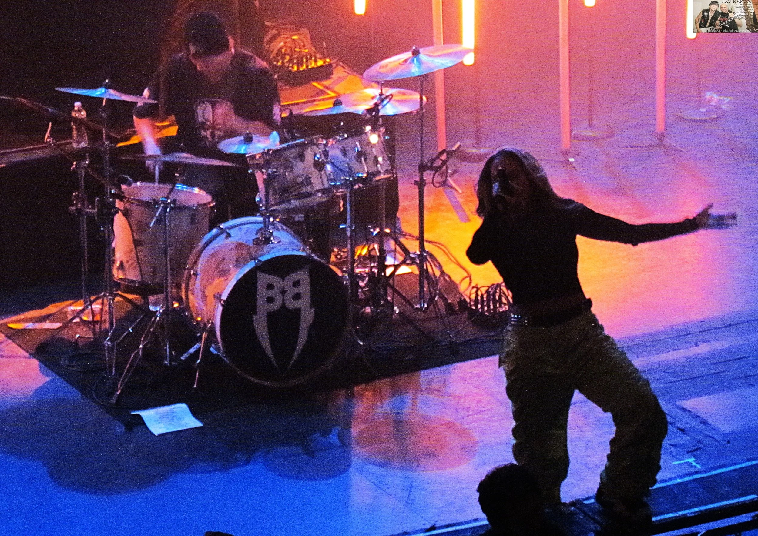 BUTCHER BABIES