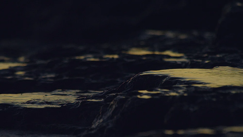 Morning Elements / Frame grab from RED Dragon 6K