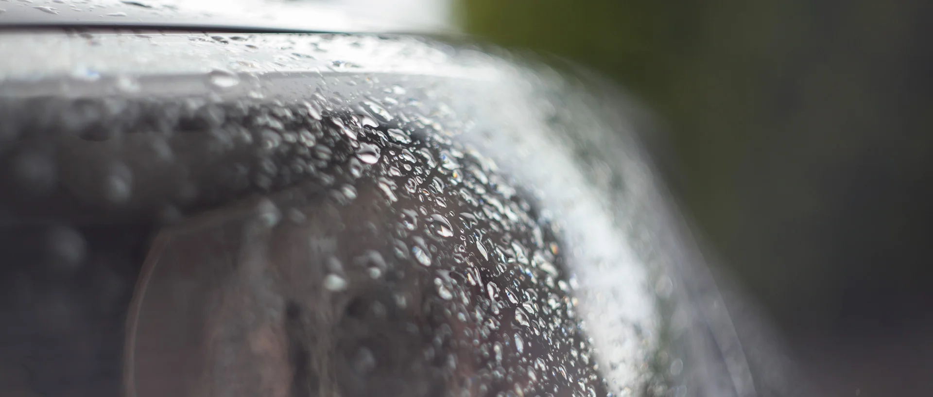 F2 APERTURE, SHARP FOCAL PLANE VS ORGANIC FALL OFF AND MUTED COLOURS.