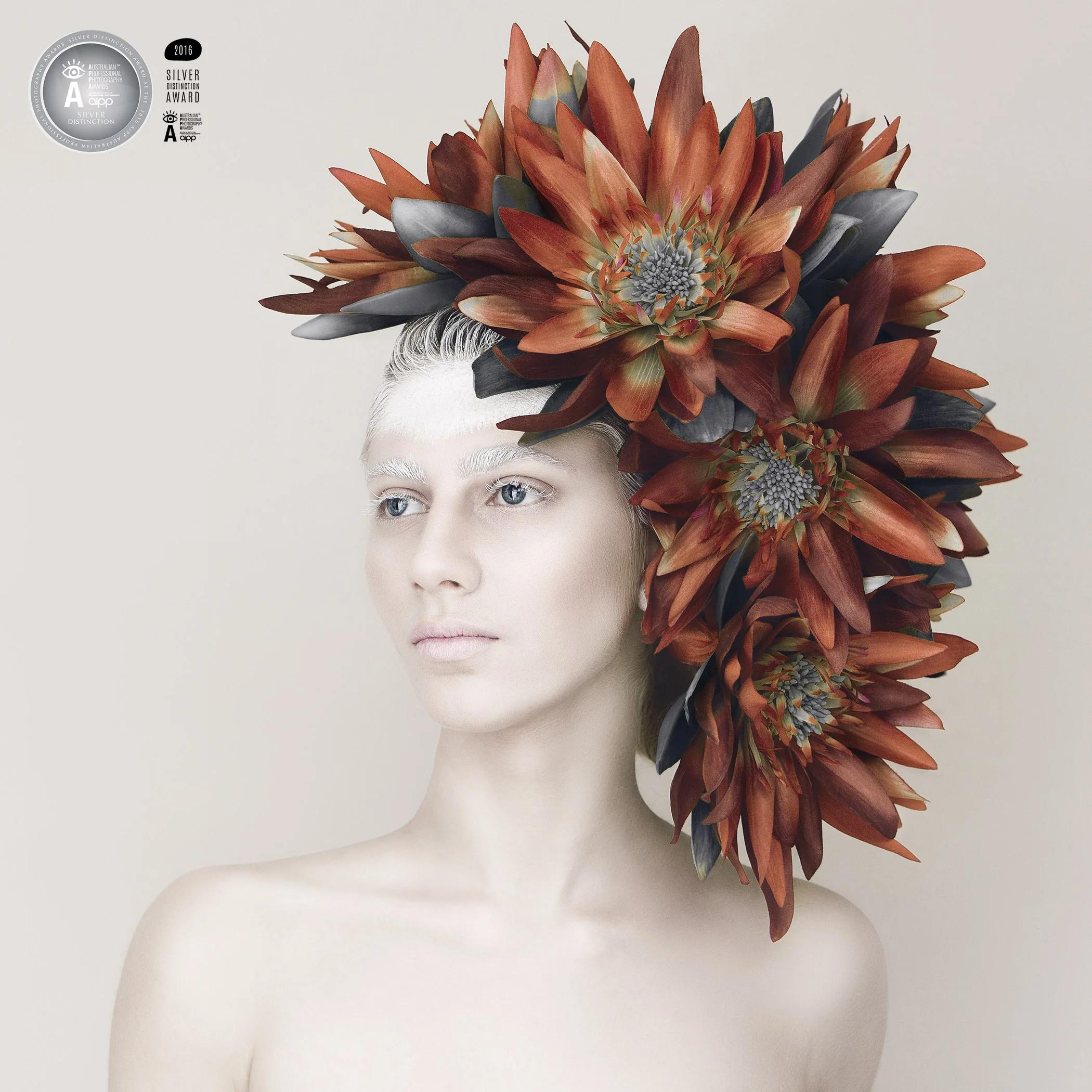 Photography Award Analia Paino Portrait Photographer.jpg