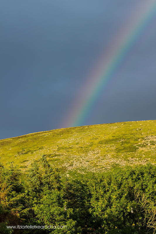 #knockanstockan "Knockanstockan rainbow"