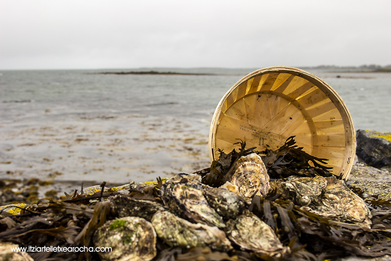 Food on the Edge Oct 2015-7951.jpg
