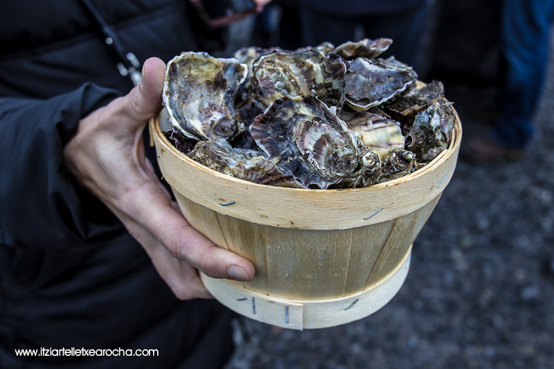 Food on the Edge Oct 2015-7954.jpg