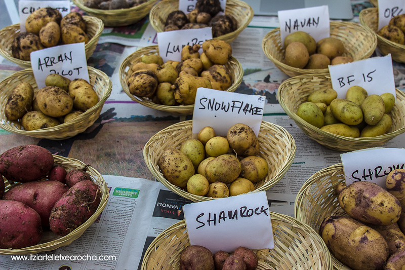 Food on the Edge Oct 2015-7983.jpg