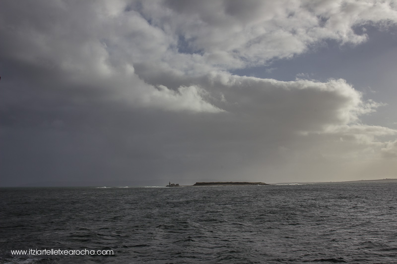 Food on the Edge Oct 2015-8144.jpg