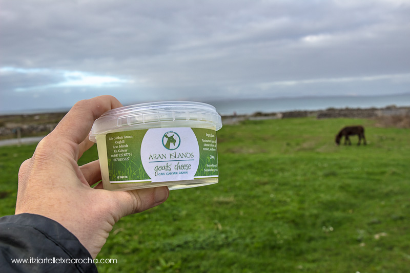 Food on the Edge Oct 2015-8280.jpg