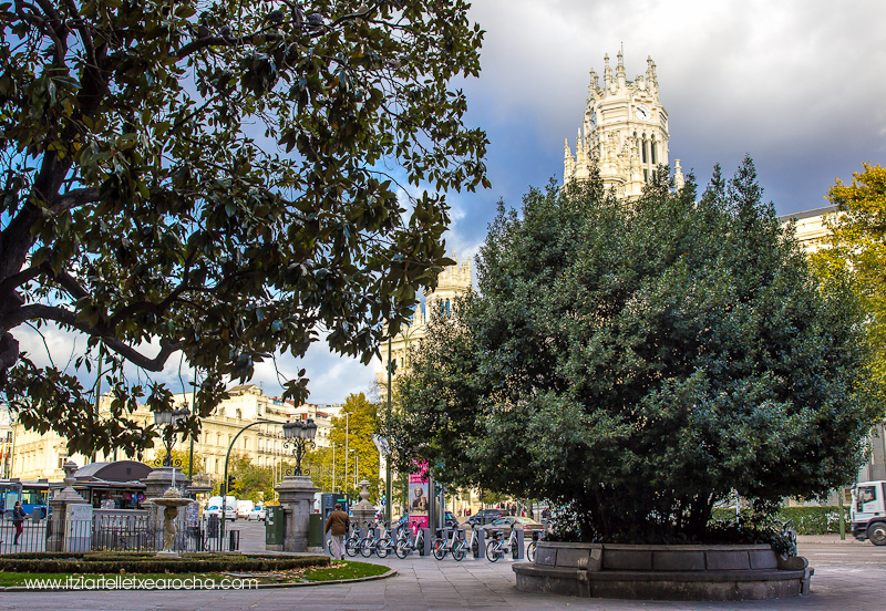 Madrid Nov 2015-9470.jpg