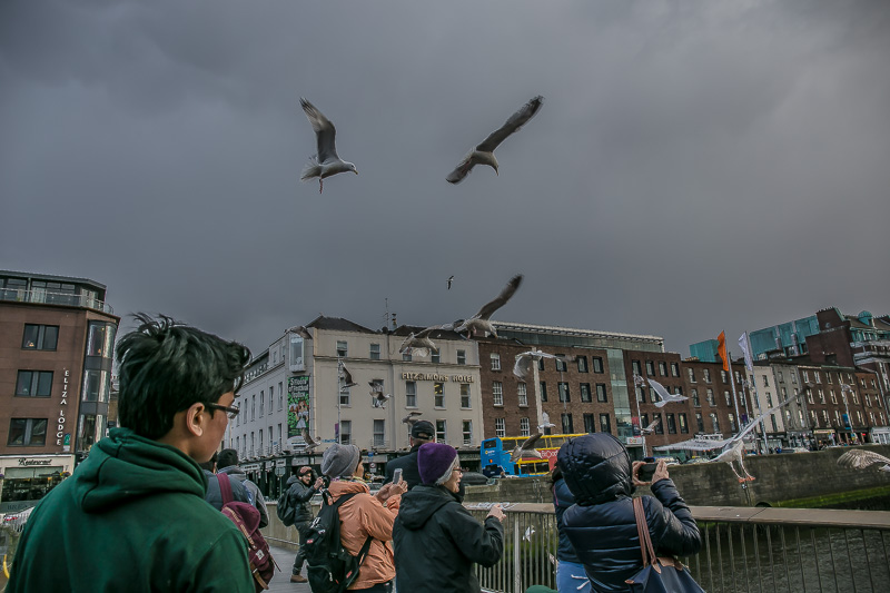 1916 Easter Rising Dublin 2016-4809.jpg