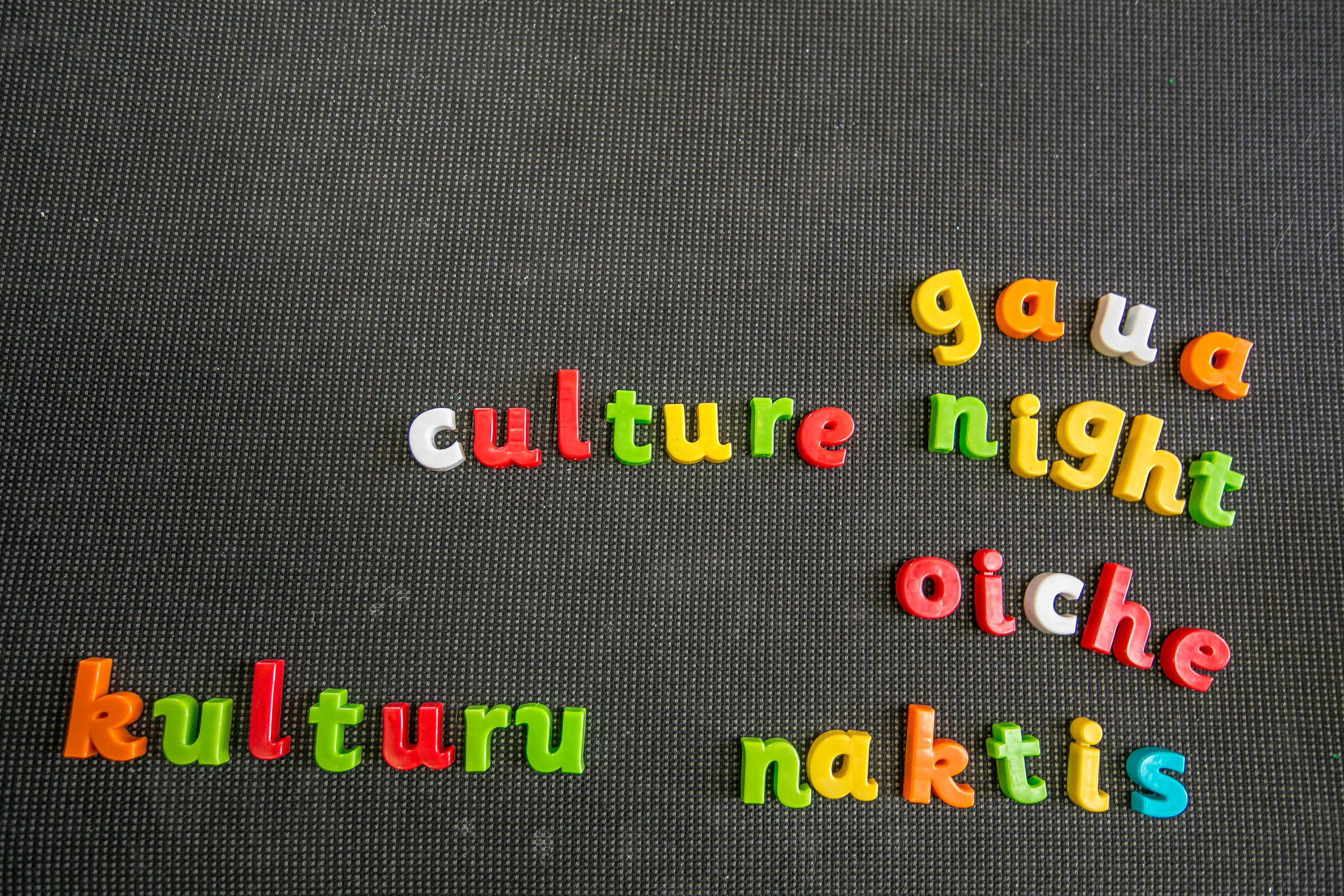 Culture NIght 2016-0501.jpg