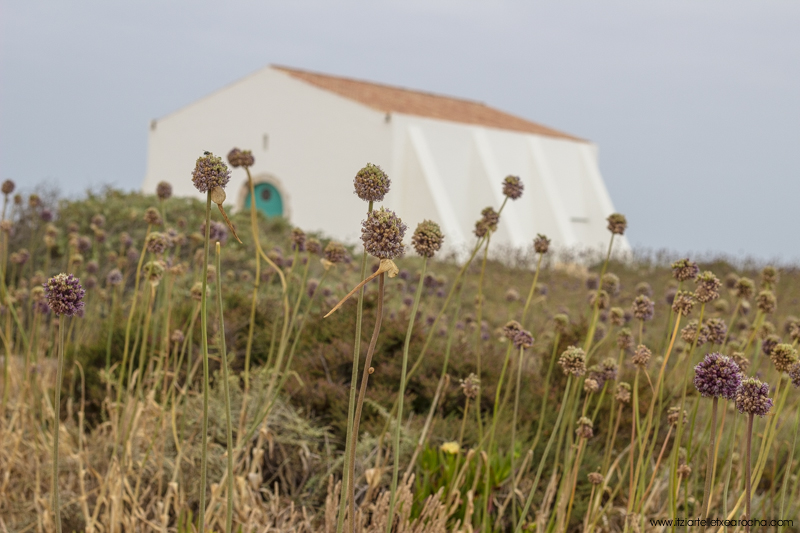 Portugal 2017-0164.jpg