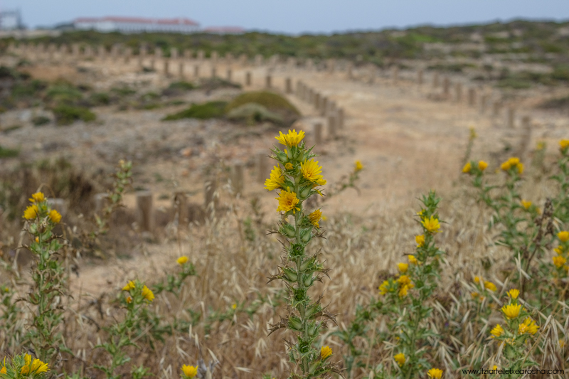 Portugal 2017-0166.jpg