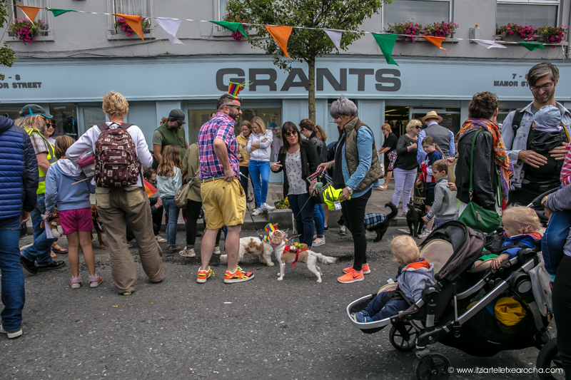 Pride and Stoneybatter Festival 2017-3433.jpg