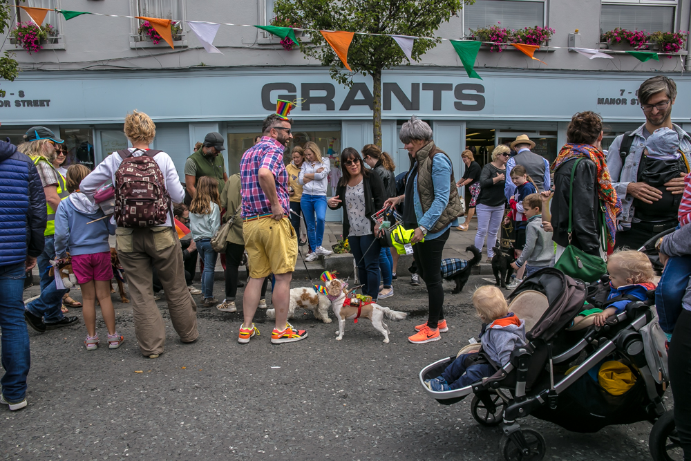 Stoneybatter Festival, woofstock, Dublin 2017