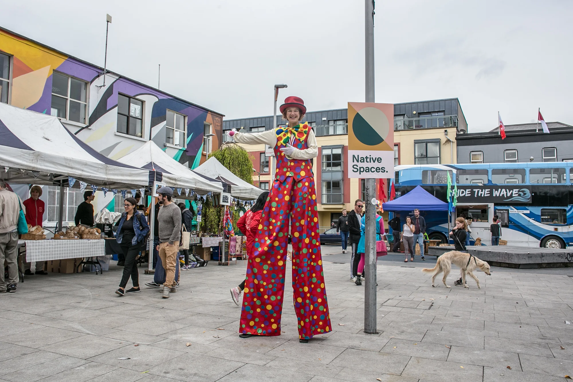 Native Spaces Market 2018