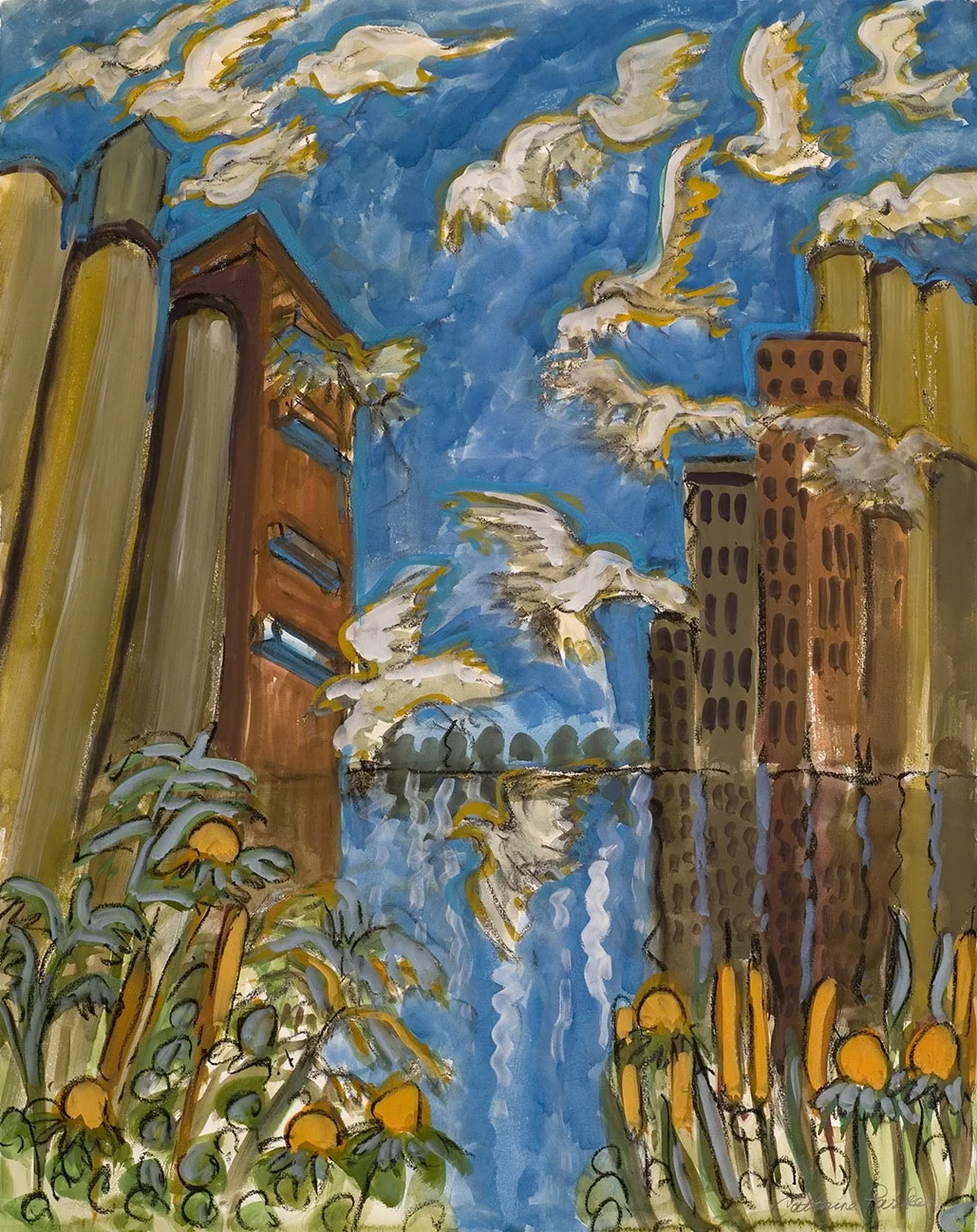 Gulls