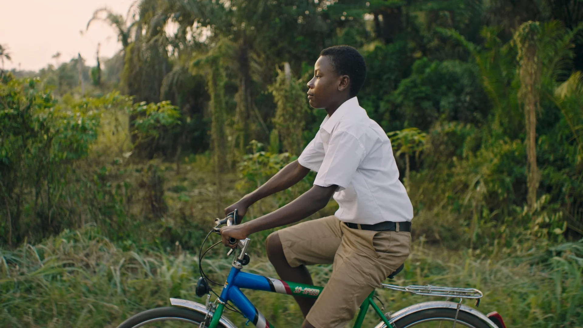 cocoa life grade stills_1.8.1.jpg