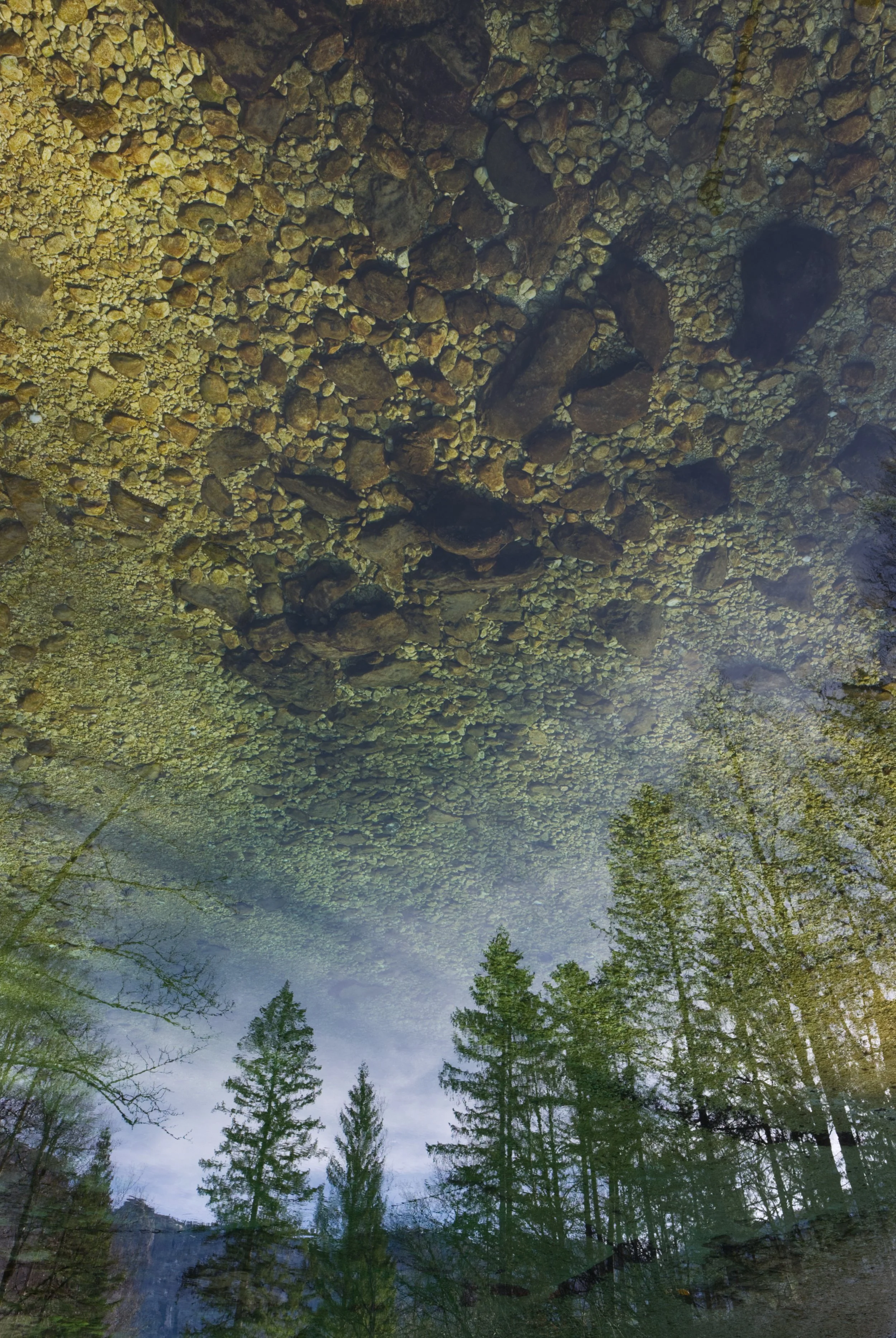 simple things reflection.jpg