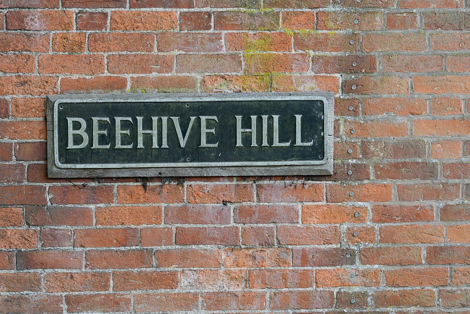 beehive-hill.jpg