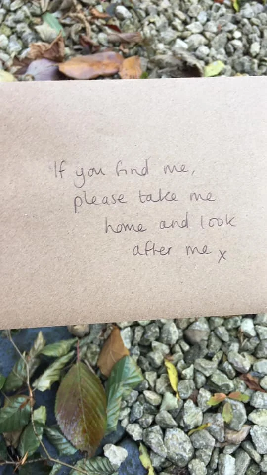 lost bouquet7.jpg