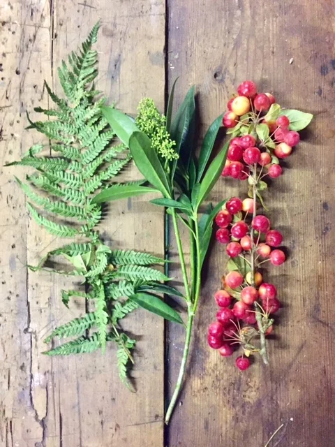 Fern, skimmia and crab apples.