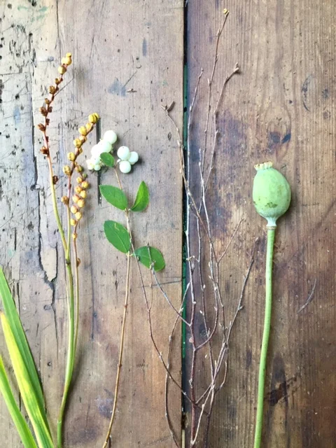 Crocosmia, snowberries, birch and poppy seed heads.
