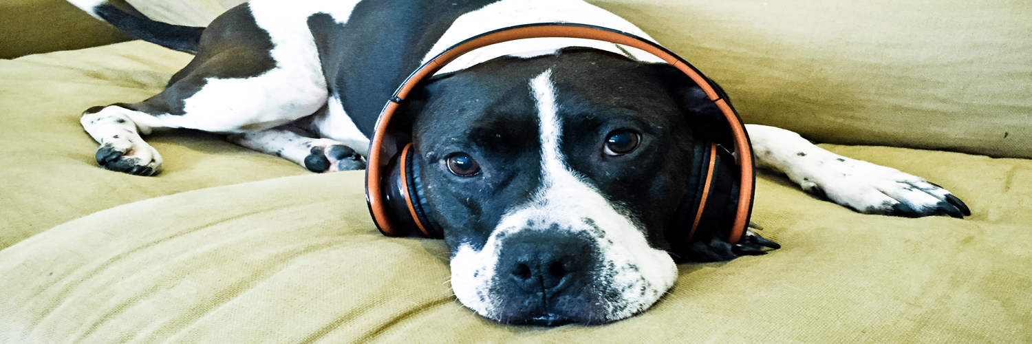 flora green sized for twitter.jpg