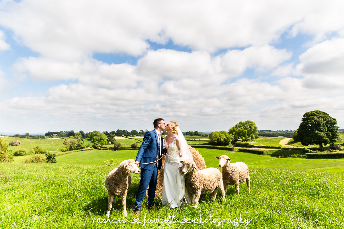 🐾 PETS  AT  WEDDINGS 🐾

It's a 'yes' from me! I get so excited when people tell me that their furry, woolly or fluffy family member is coming along to their wedding too because... why wouldn't they!? 

But the question is... Horses? Dogs? Sheep? An