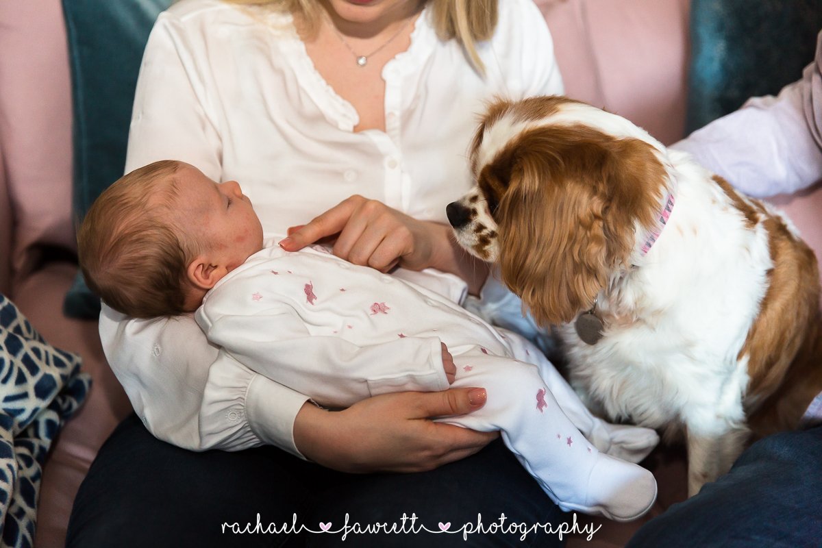 Harrogate-family-and-newborn-photographer-11.jpg