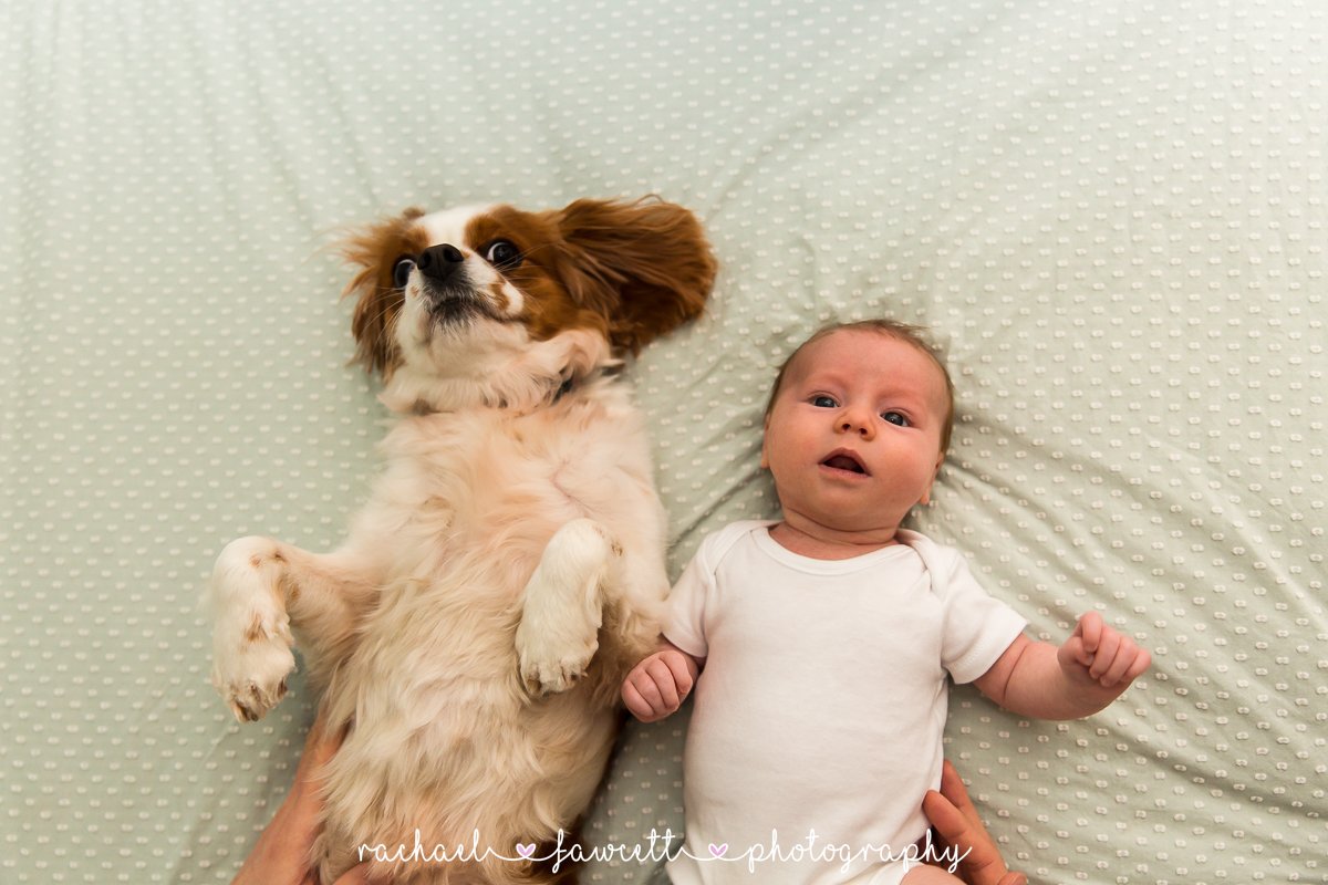 Harrogate-family-and-newborn-photographer-93.jpg