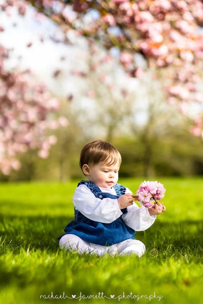 harrogate-cherry-blossom-photographer-07.jpg