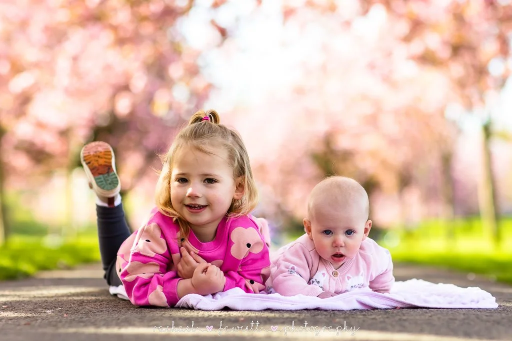 harrogate-cherry-blossom-photographer-19.jpg