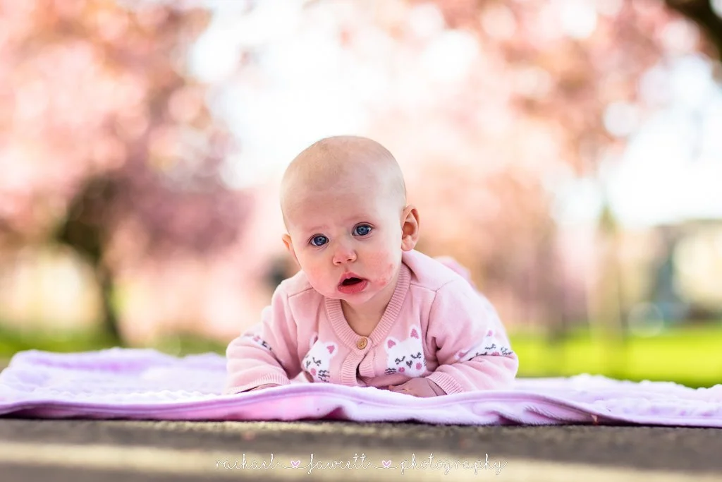 harrogate-cherry-blossom-photographer-22.jpg