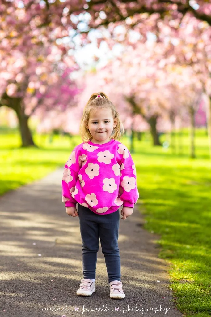 harrogate-cherry-blossom-photographer-26.jpg