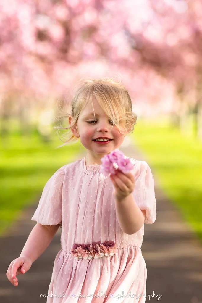 harrogate-cherry-blossom-photographer-30.jpg
