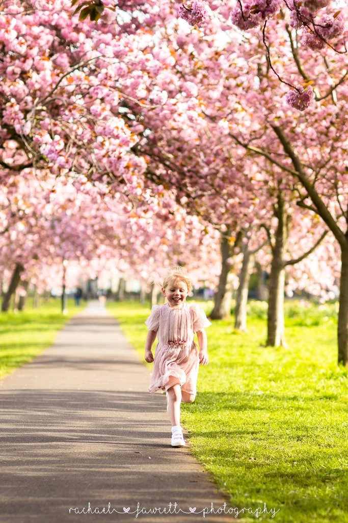 harrogate-cherry-blossom-photographer-32.jpg