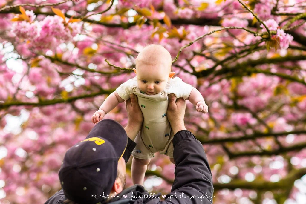 harrogate-cherry-blossom-photography-05.jpg