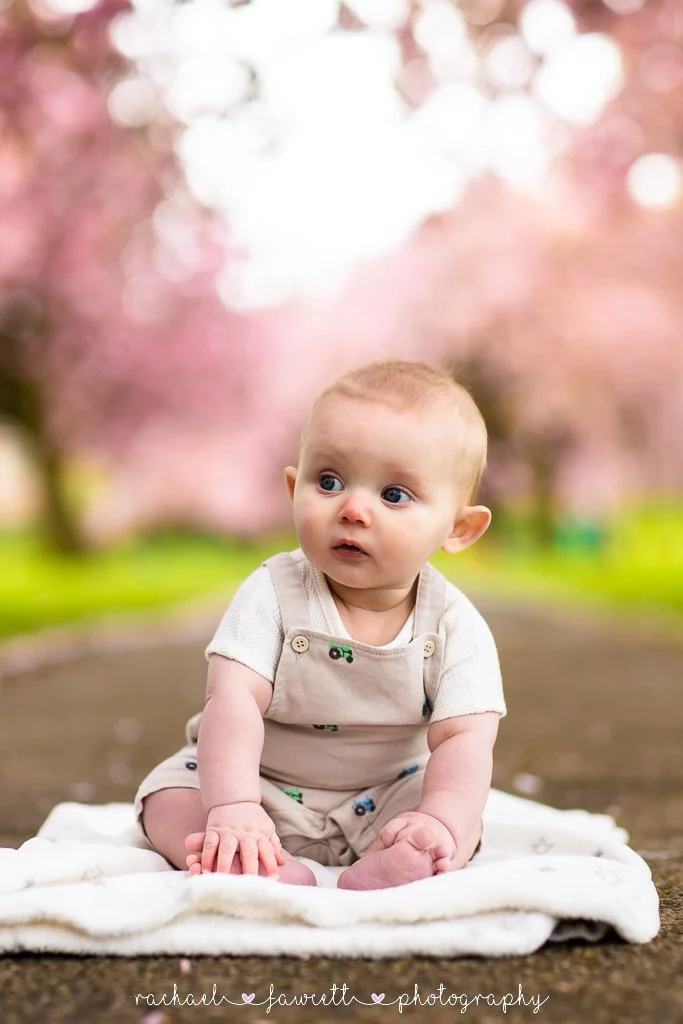 harrogate-cherry-blossom-photography-06.jpg