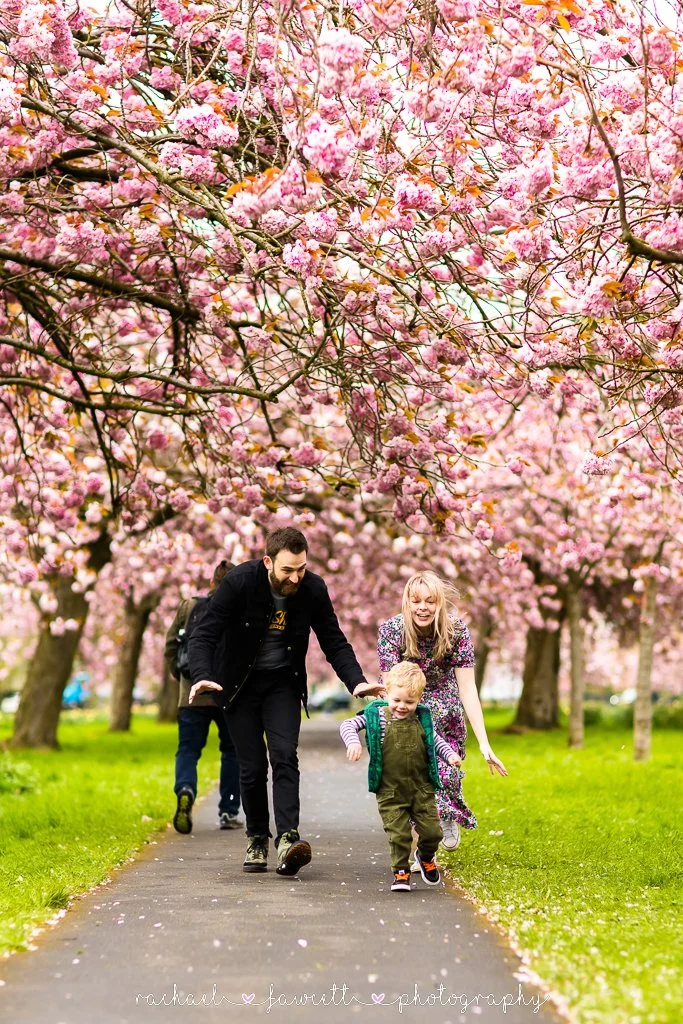 harrogate-cherry-blossom-photography-11.jpg
