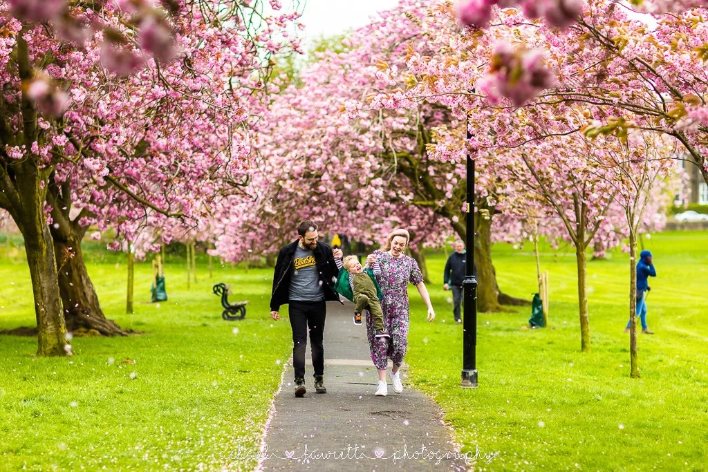 harrogate-cherry-blossom-photography-16.jpg